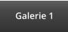 Galerie 1