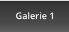 Galerie 1