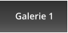 Galerie 1