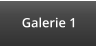 Galerie 1
