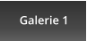 Galerie 1