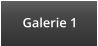 Galerie 1