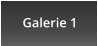 Galerie 1