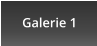 Galerie 1