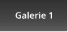 Galerie 1